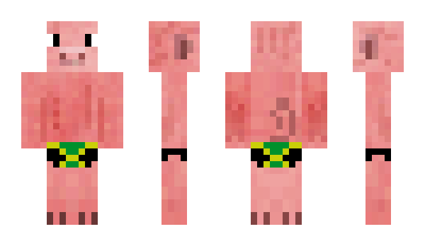 Minecraft skin BigToot
