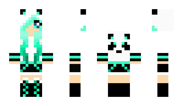 Minecraft skin _ani