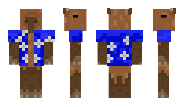 Minecraft skin CataProCapybara