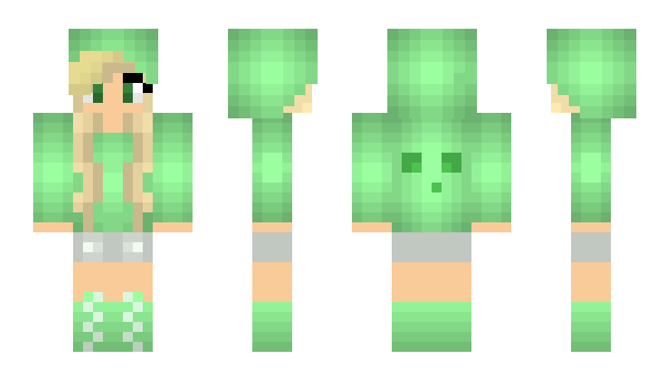 Minecraft skin Visuell