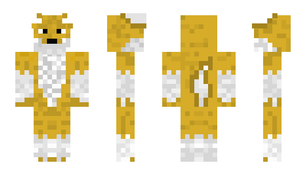 Minecraft skin GoldenAce55