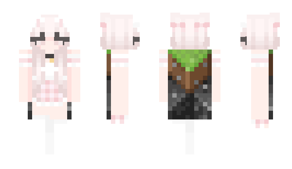 Minecraft skin Tasns