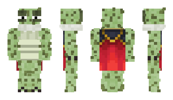 Minecraft skin BaljeetOogway