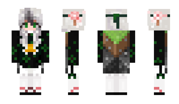 Minecraft skin DaispaWho