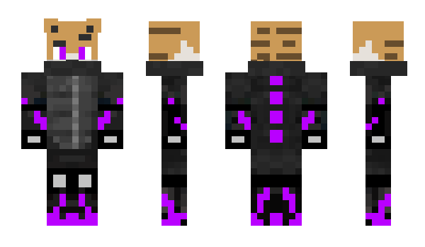 Minecraft skin TigerArmy