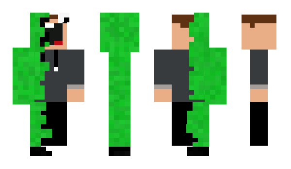 Minecraft skin BleBerry