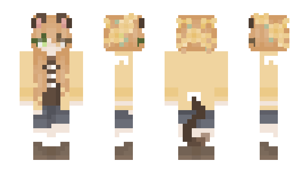 Minecraft skin clericbyers