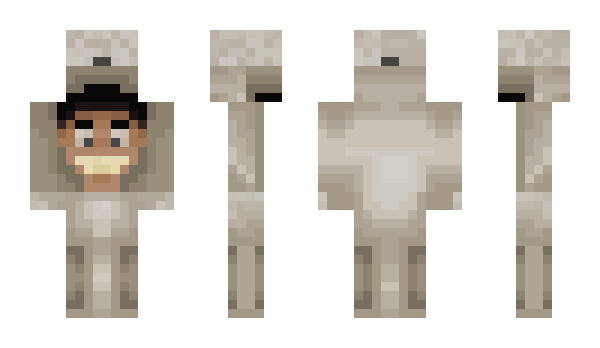 Minecraft skin skidibitoilet