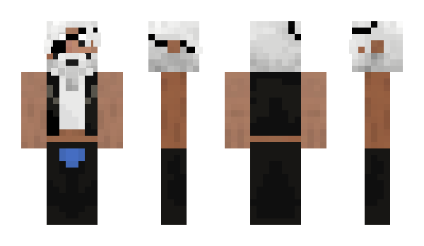 Minecraft skin Piratte