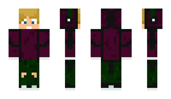 Minecraft skin GeraCraft