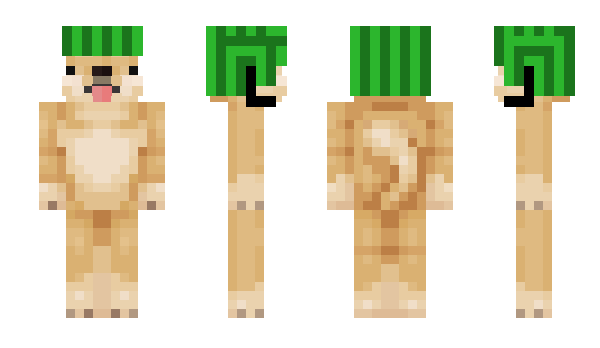 Minecraft skin broooooooooooo