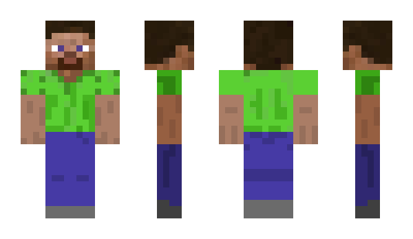 Minecraft skin leapsheepy