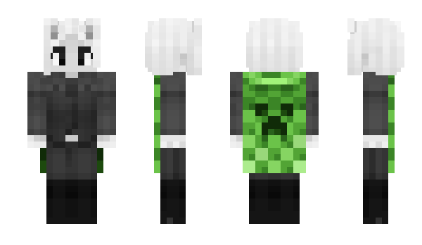 Minecraft skin qwseMC