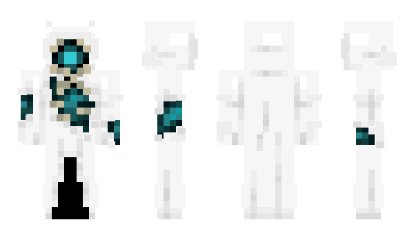Minecraft skin Ur3rdiMcFly