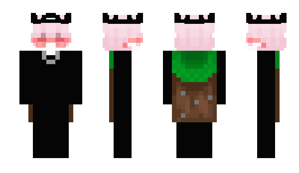 Minecraft skin Eduquepro