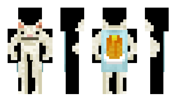 Minecraft skin goonbezahlen