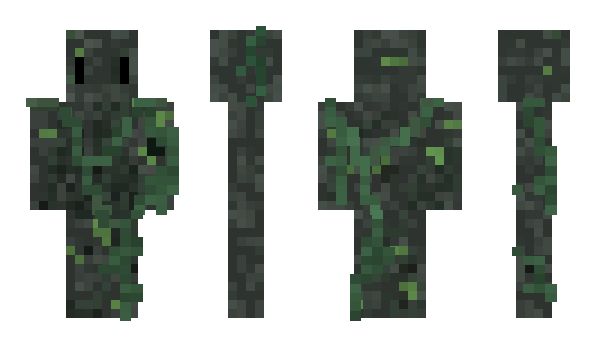 Minecraft skin Poopfartgaming