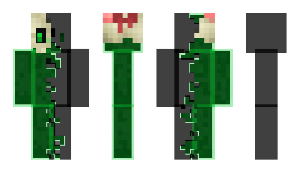 Minecraft skin DoctorWho_MC