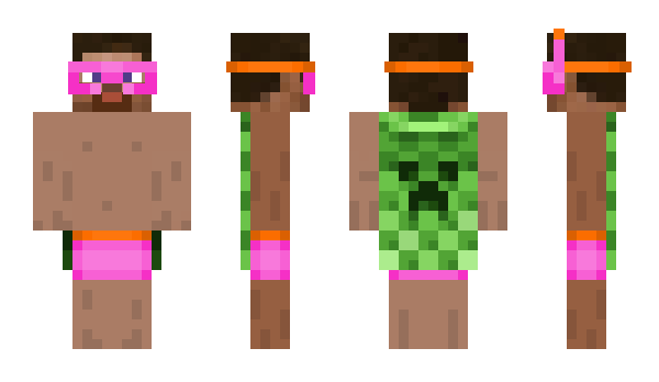 Minecraft skin STEGA