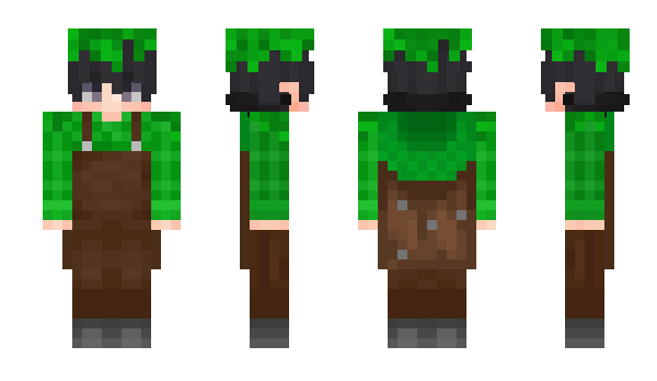 Minecraft skin Elytra10471