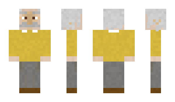 Minecraft skin tototom