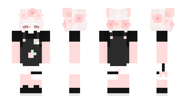 Minecraft skin pxachi_