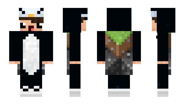 Minecraft skin Logo_NoOb