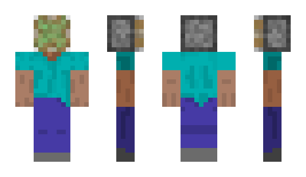 Minecraft skin Vyux