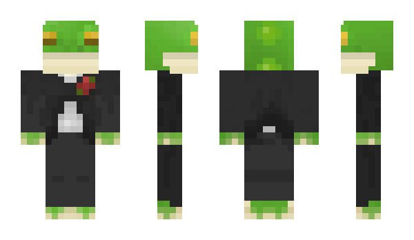 Minecraft skin Frogcat