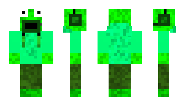 Minecraft skin WhyAre_YouGay