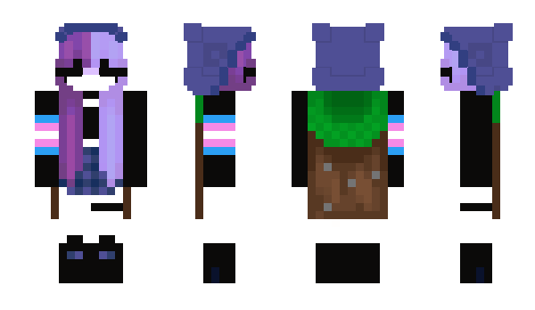 Minecraft skin TransgenderGirly