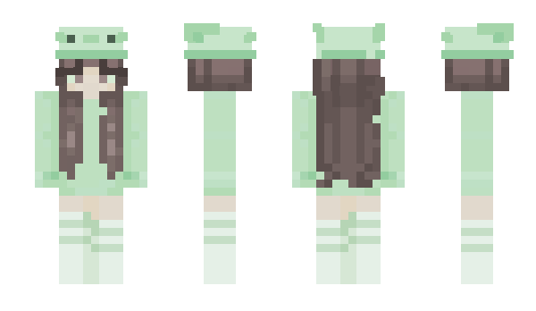 Minecraft skin _340