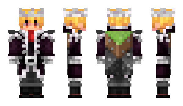 Minecraft skin VoidSilver