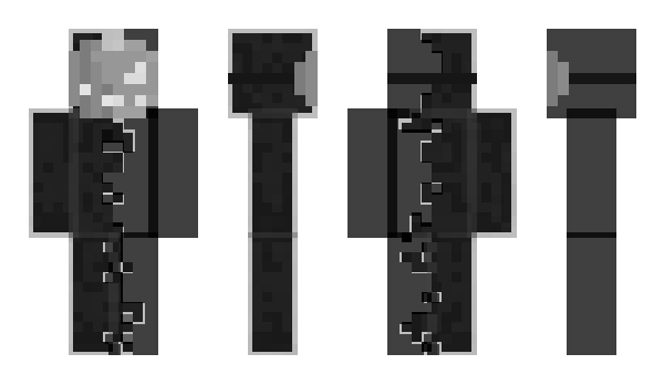 Minecraft skin Roguebeatle