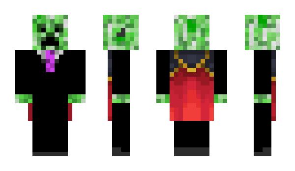 Minecraft skin raidems