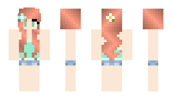 Minecraft skin PGDan