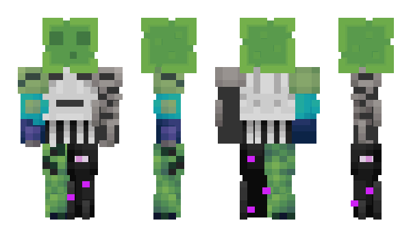 Minecraft skin SpeedLynx