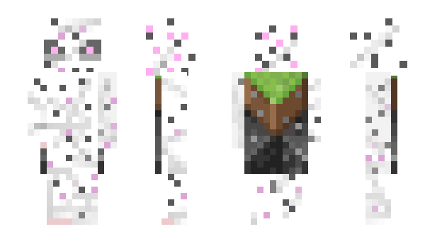 Minecraft skin Sanguchito_