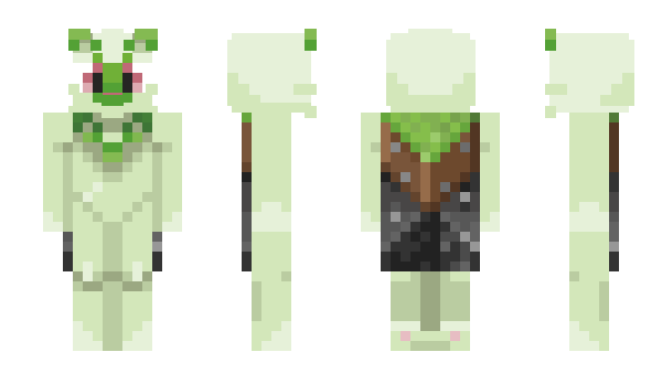 Minecraft skin Laiuk