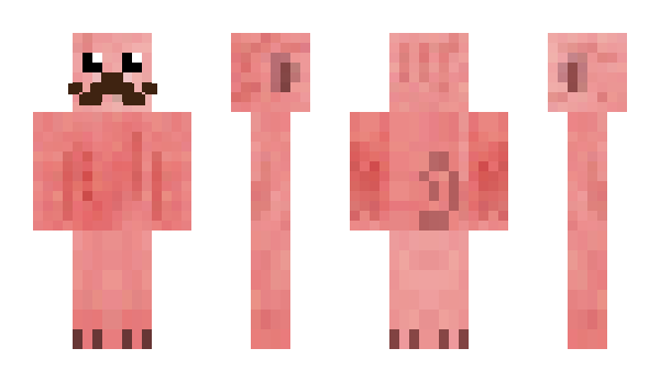 Minecraft skin pas99