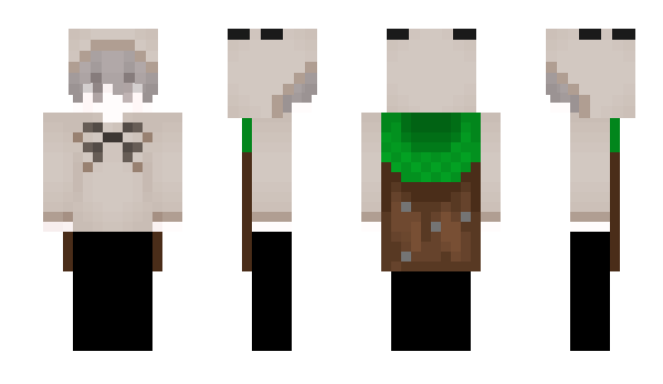 Minecraft skin 2het