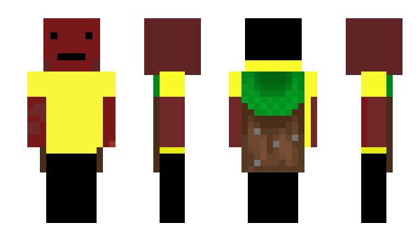 Minecraft skin Dhruv12345721