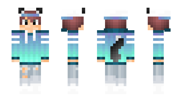 Minecraft skin Vanishen