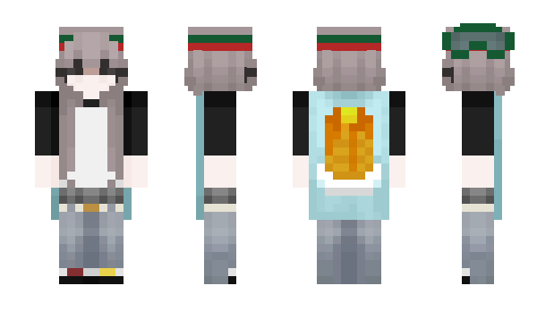 Minecraft skin sashinn