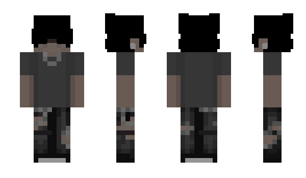 Minecraft skin wvk10r_