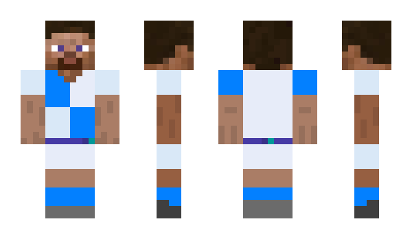 Minecraft skin Anty9