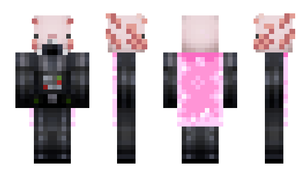 Minecraft skin linitoni