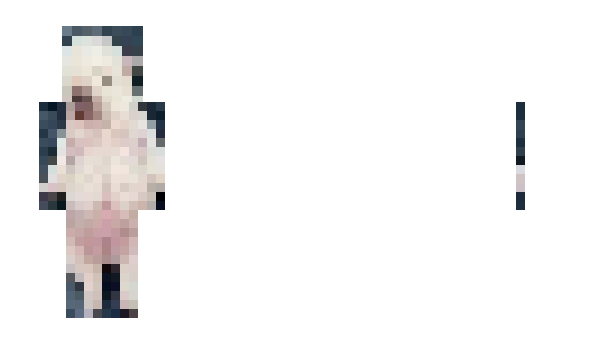 Minecraft skin TsGmailPMO