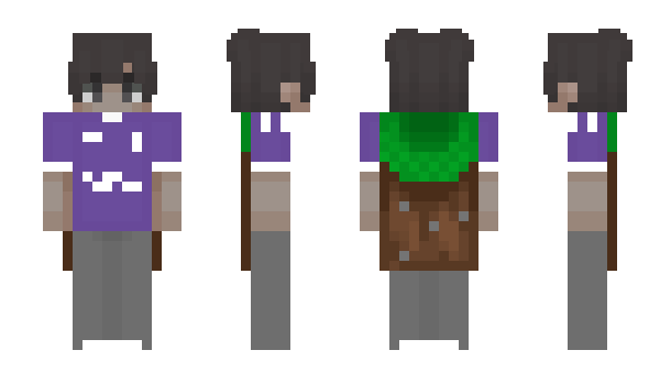 Minecraft скин по нику EnchantedHero72
