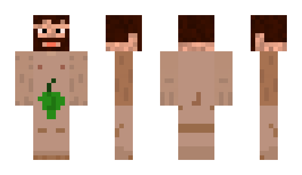 Minecraft skin ragata